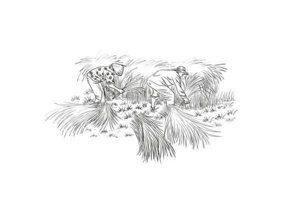 農(nóng)民
