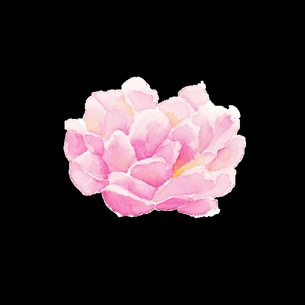 荷花png透明素材