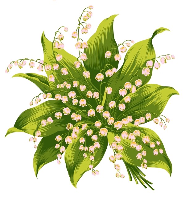 花朵素材圖片