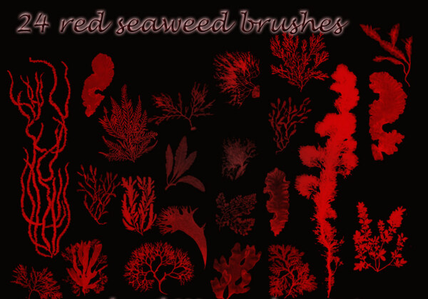 24款海底海藻效果PS笔刷