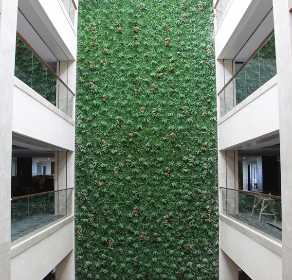 办公楼垂直绿化
