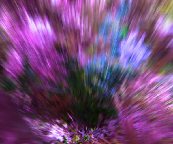 紫罗兰花园背景