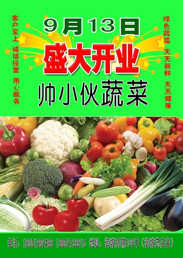 蔬菜宣傳單