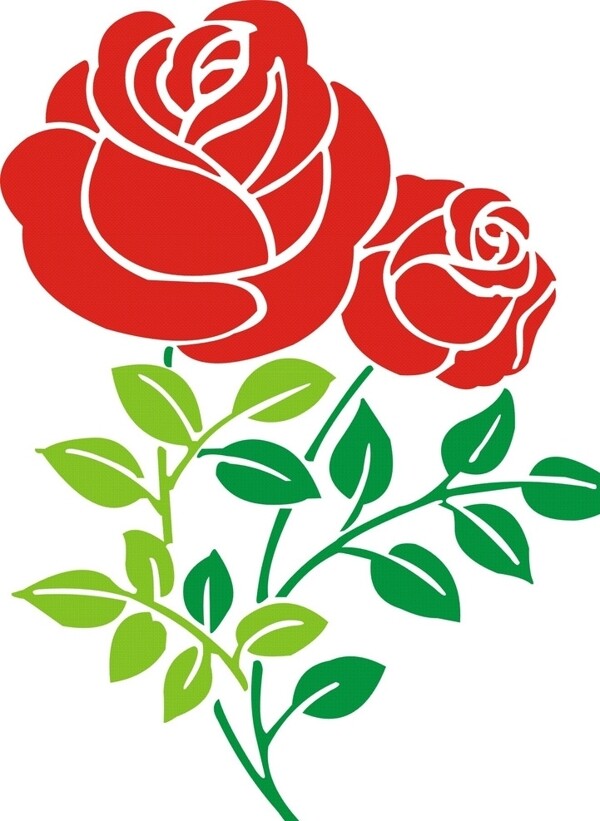 玫瑰花
