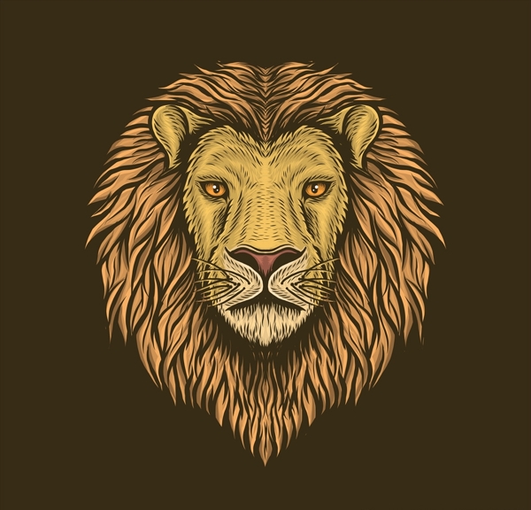 狮子头背景
