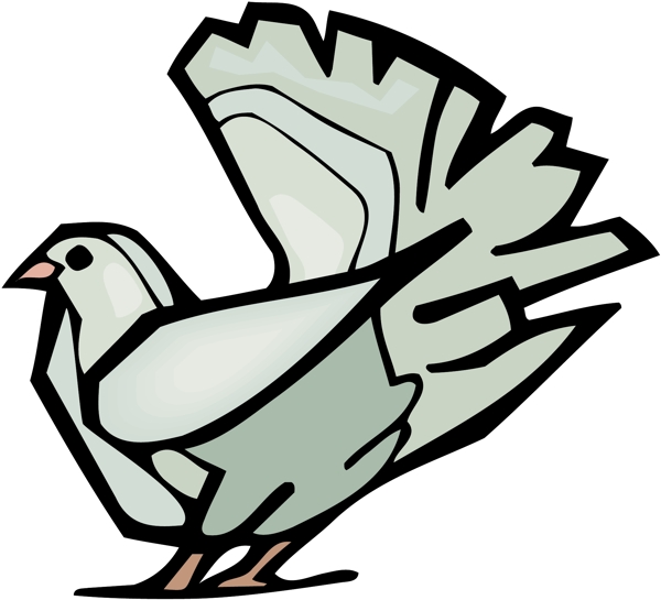 各種鳥類鳥動物矢量素材EPS格式0626