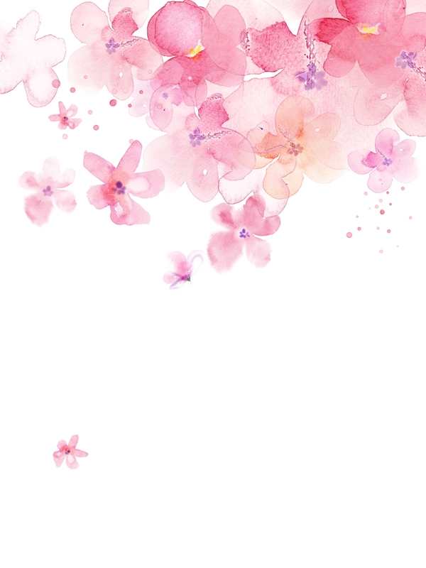 淡彩風(fēng)格櫻花