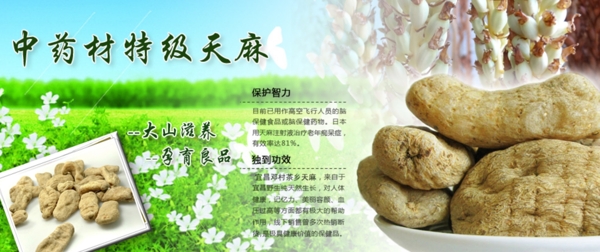 天麻Banner圖片