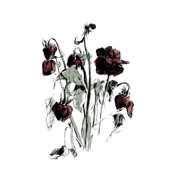 玫瑰花