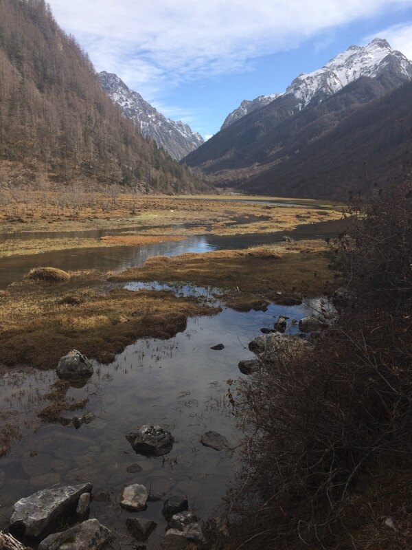 九寨沟七藏沟高原湿地雪图片