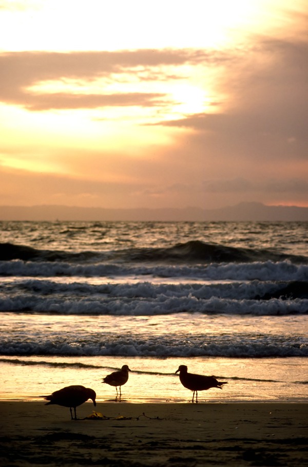 海边夕阳风光图片