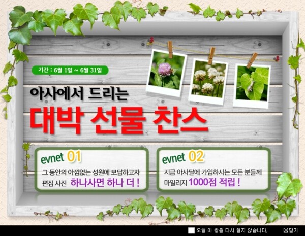 绿色植物销售海报素材