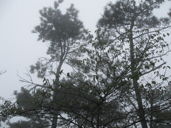 烟雨庐山