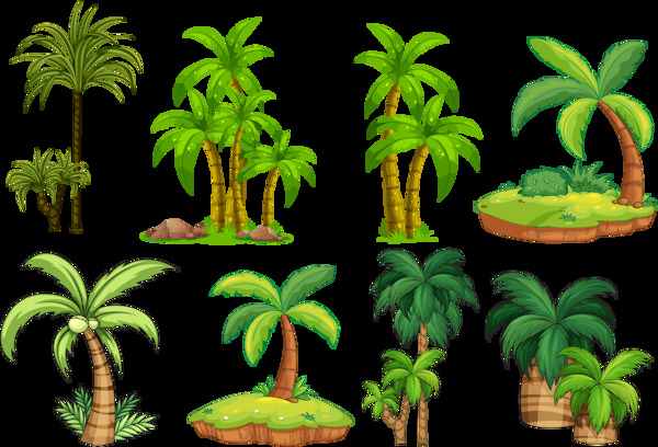 热带棕榈树椰子树免抠png透明图层素材