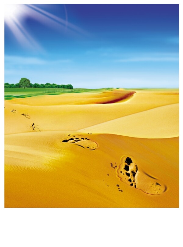 海报阳光绿洲沙漠天空太阳图片