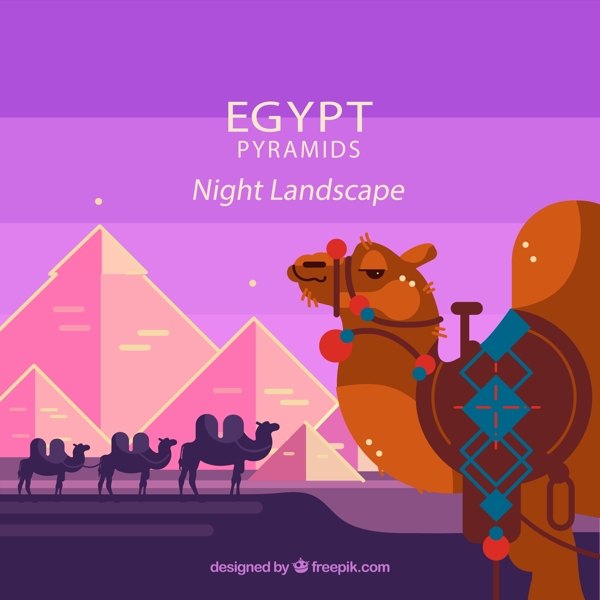 埃及金字塔和骆驼图片