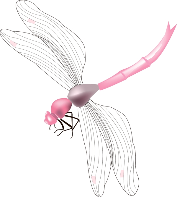 粉色蜻蜓昆虫插画