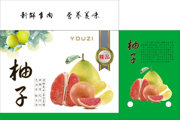 柚子包装设计原图