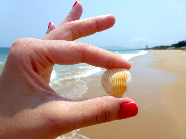 海滩手拿贝壳