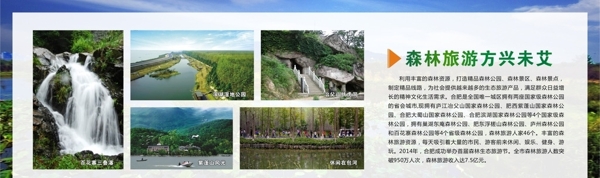 合肥森林旅游展板图片