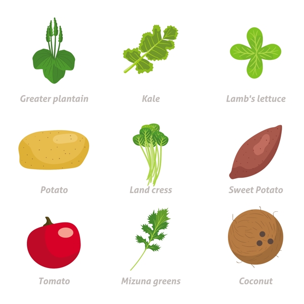 各种健康蔬菜食品集合
