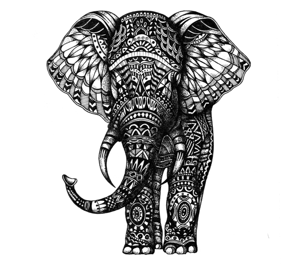 插画大象手绘原创黑白图片