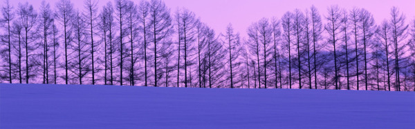 雪景背景素材