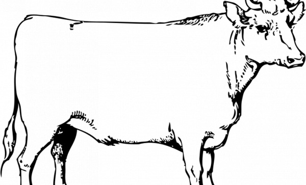 一个牛矢量图