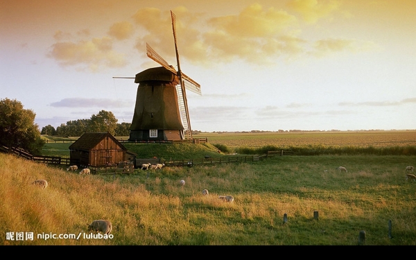 荷兰田园风车图片