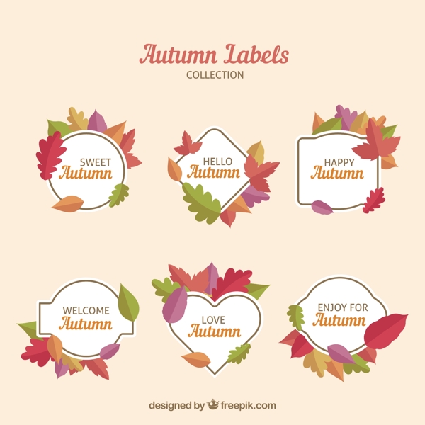 与平面设计丰富多彩的秋天的标签设置