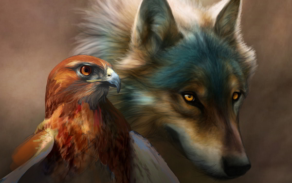 鹰和狼图片