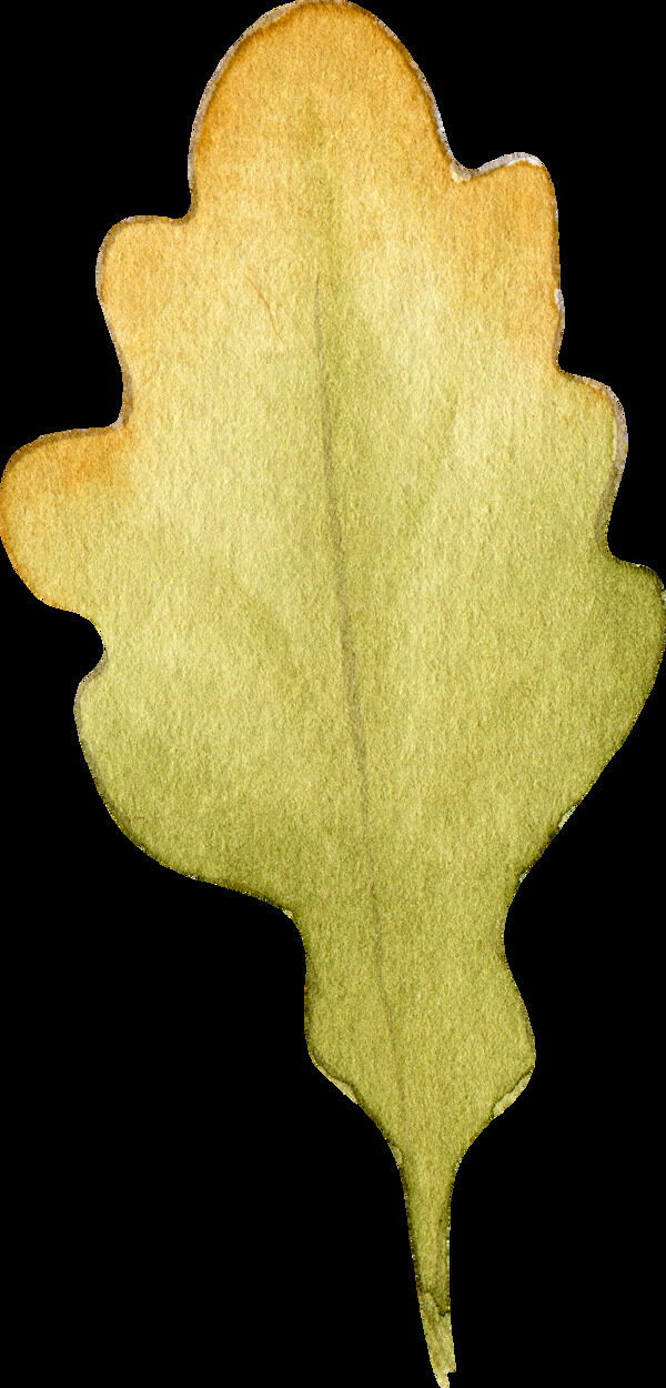 手绘水彩叶子透明素材合集
