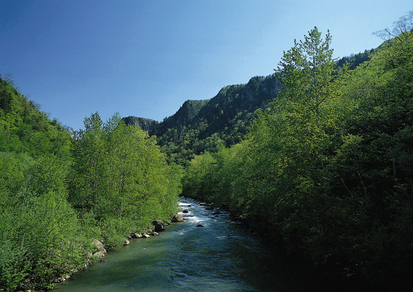 山水风景