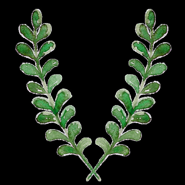 两枝绿叶枝条装饰素材