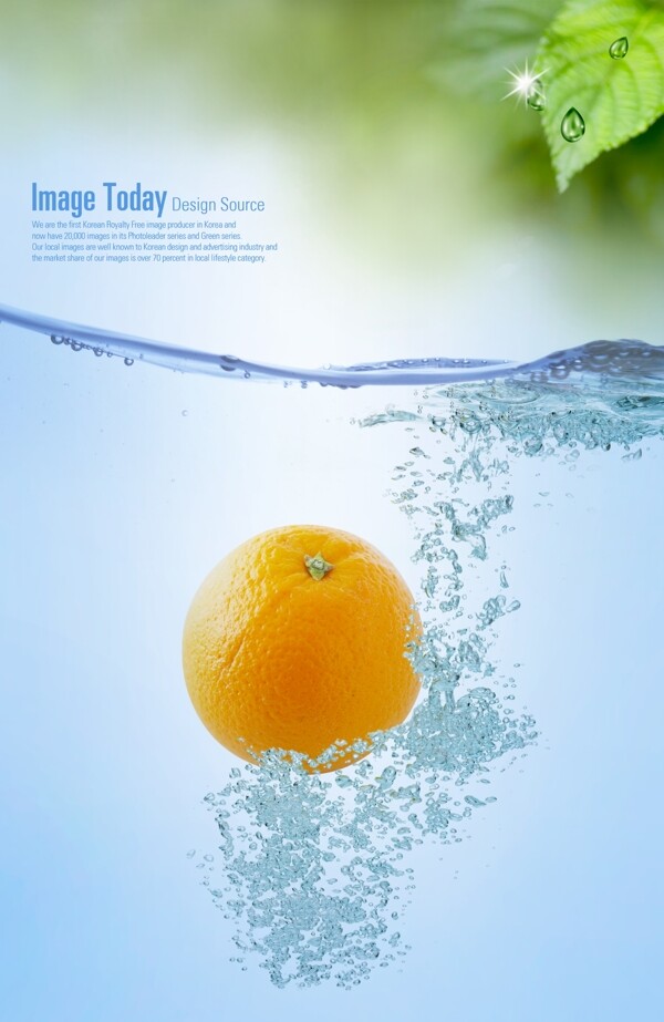 水中橙子分层素材图片