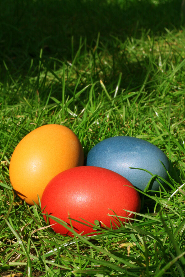 复活节彩蛋藏在草丛