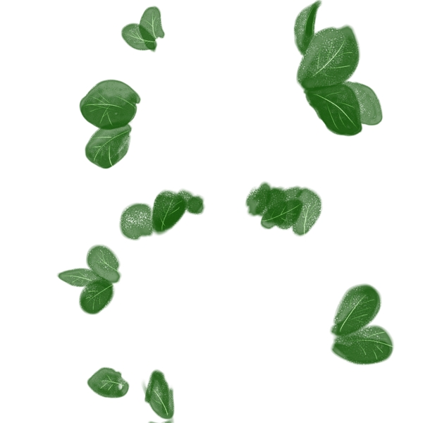 绿色植物叶子元素
