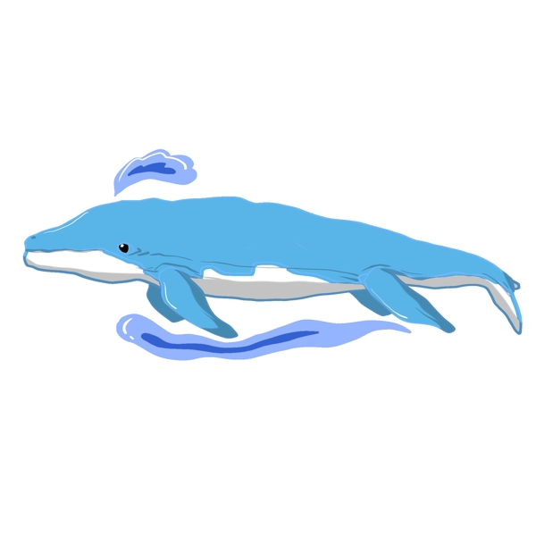 手绘蓝色喷口水鲸鱼插画