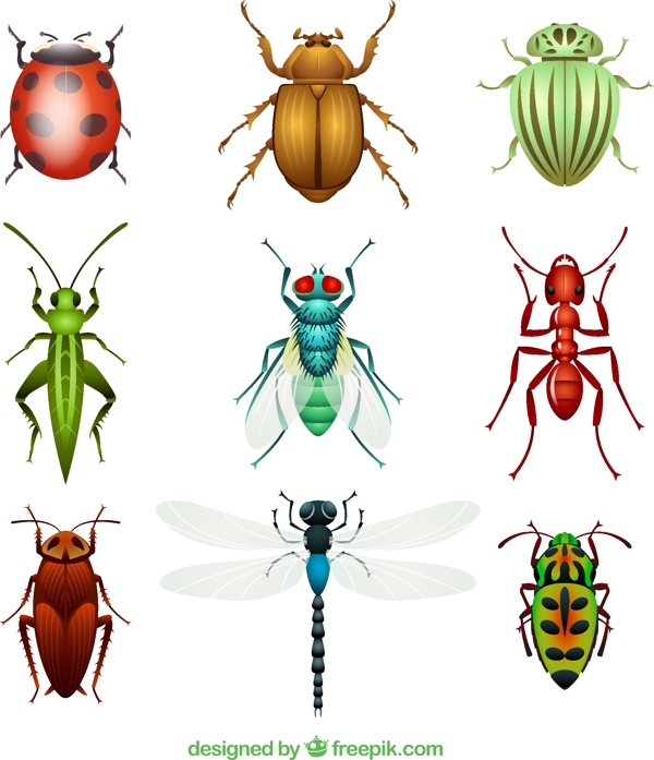 昆虫设计矢量素材图片