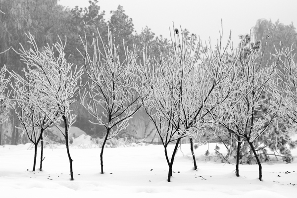 水墨雪景图片