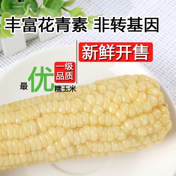 白色玉米图片淘宝详情主图