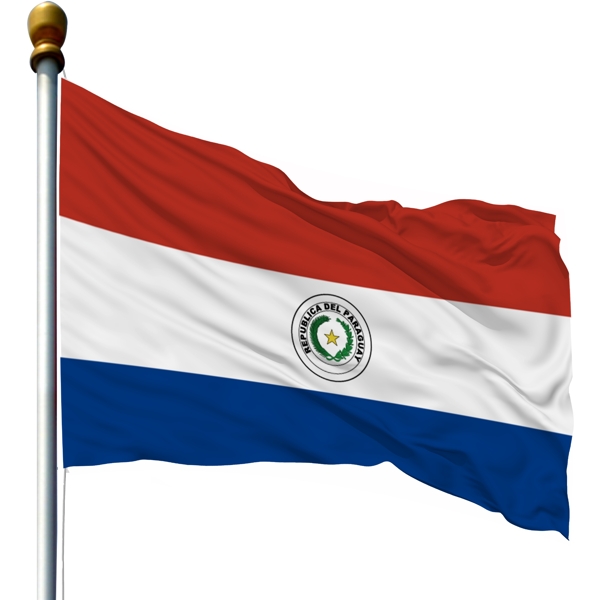 带旗杆的巴拉圭国旗