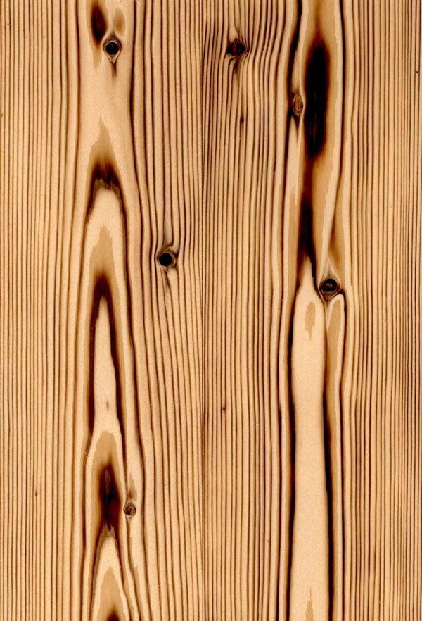 木材木纹浮雕木板装饰板效果图3d素材1