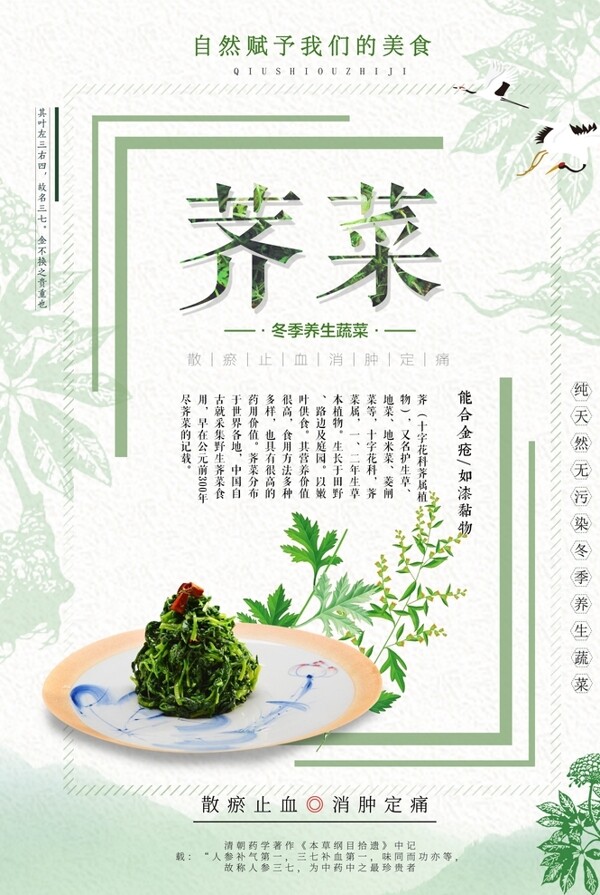 小清新简约荠菜海报图片