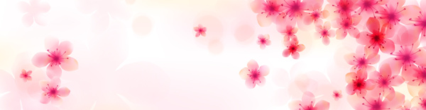 粉色鲜花底纹背景图