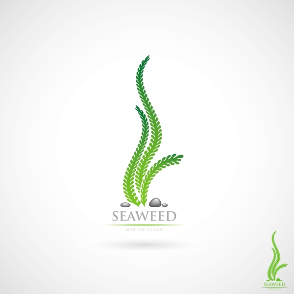海藻logo设计