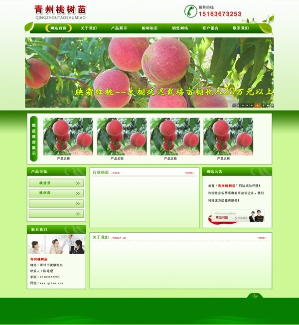 桃树苗图片