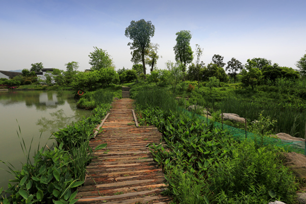 杭州西溪湿地西区图片