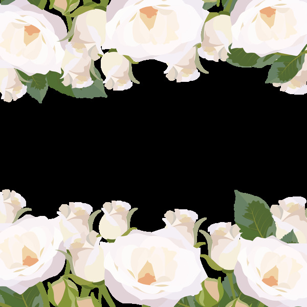白色玫瑰花边免抠png透明图层素材