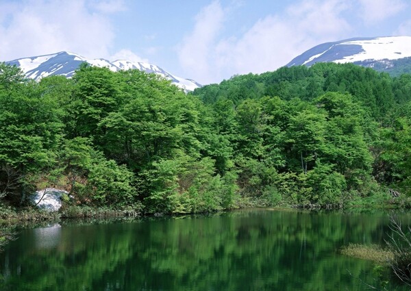 高清唯美山川流水绿树